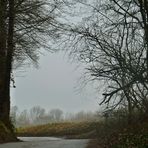 Nebel im Neandertal ...