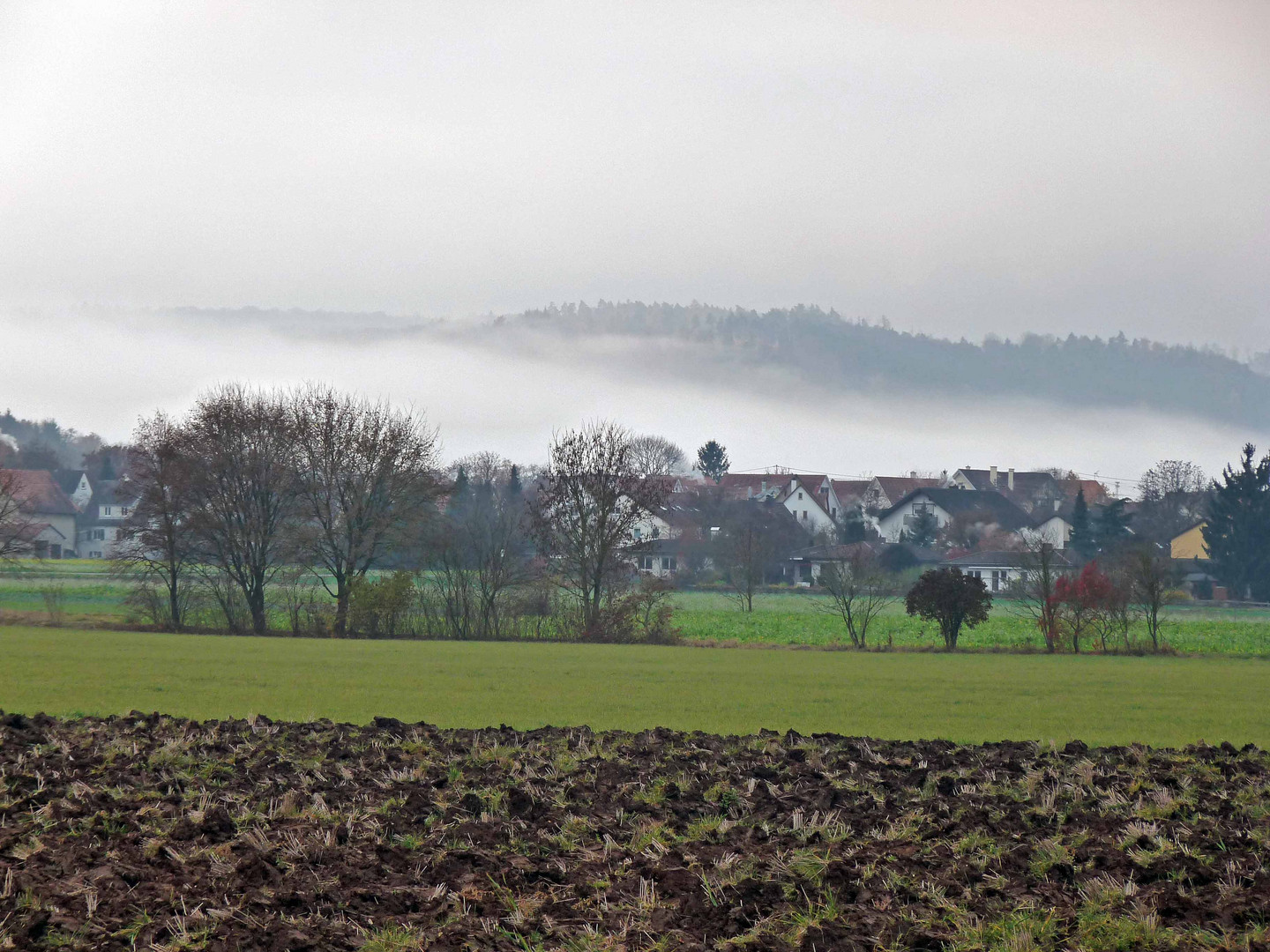 Nebel im Neckartal