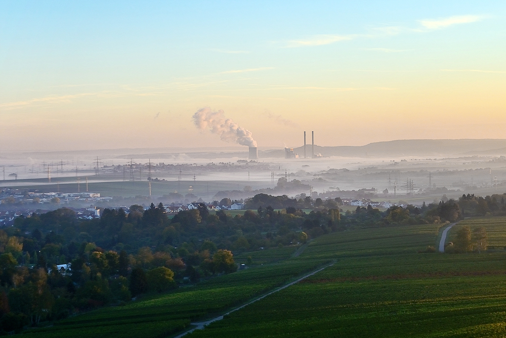 Nebel im Neckartal