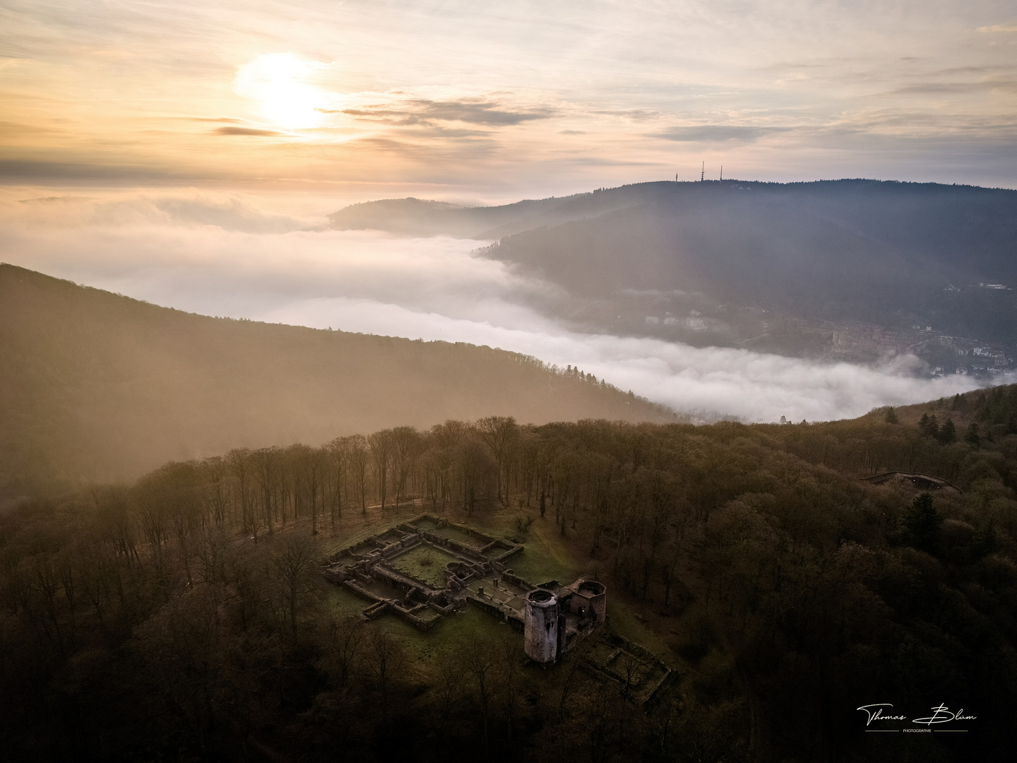 Nebel im Neckartal, Klosterruine St. Michael