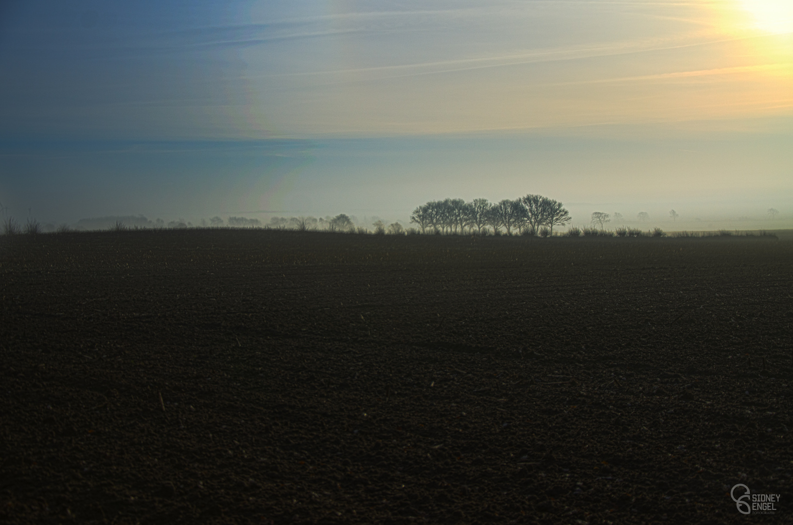 Nebel im Norden