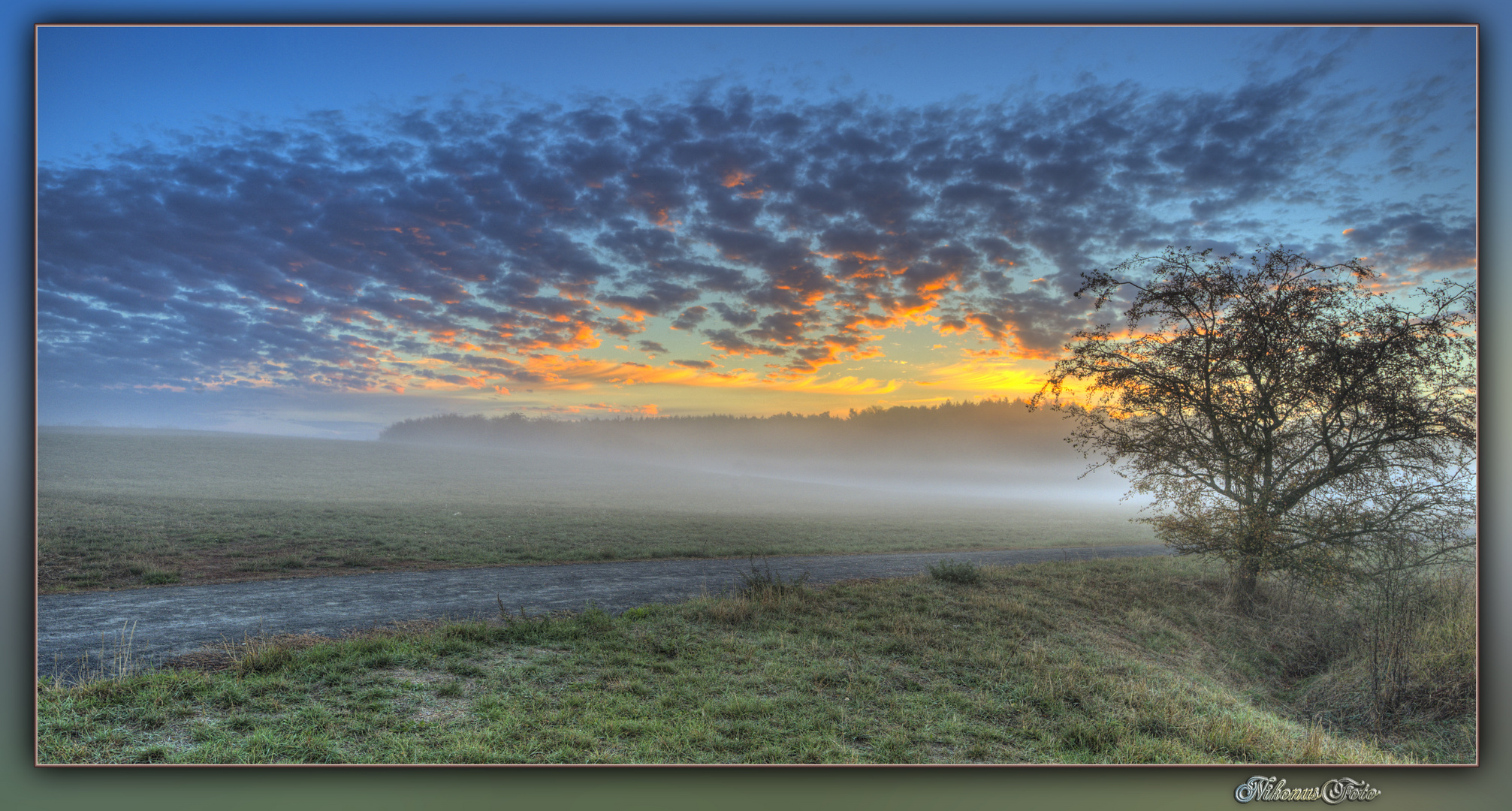 Nebel im November