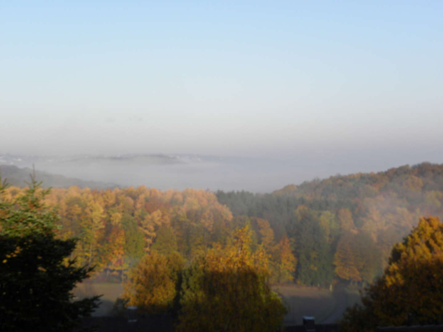 Nebel im November