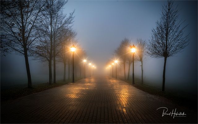 Nebel .... im November