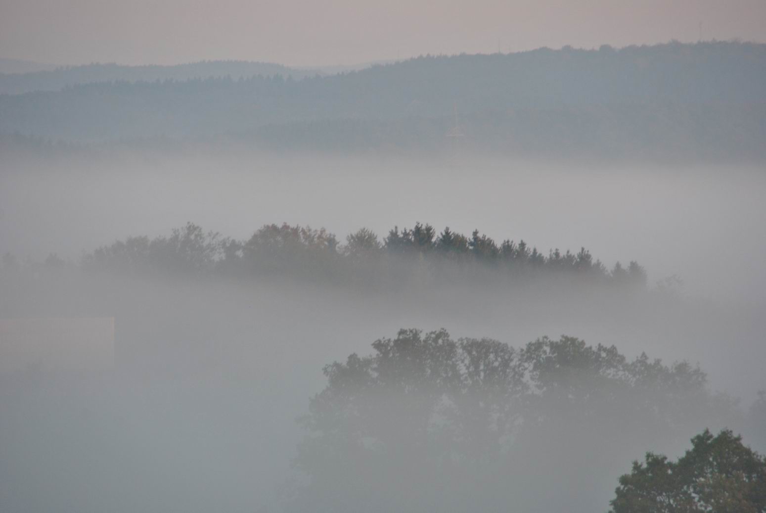 Nebel im Oberbergischen Land