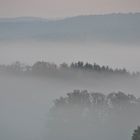 Nebel im Oberbergischen Land