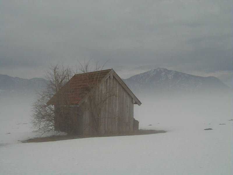 Nebel im Oberland