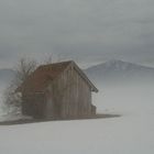 Nebel im Oberland