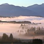 Nebel im Oberland