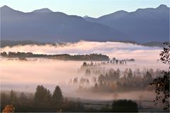 Nebel im Oberland