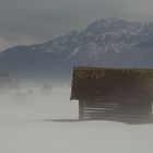 Nebel im Oberland II