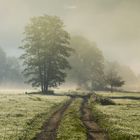 Nebel im Oktober