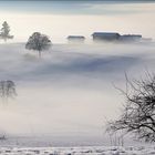 Nebel im Ostallgäu