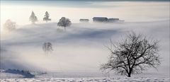 Nebel im Ostallgäu