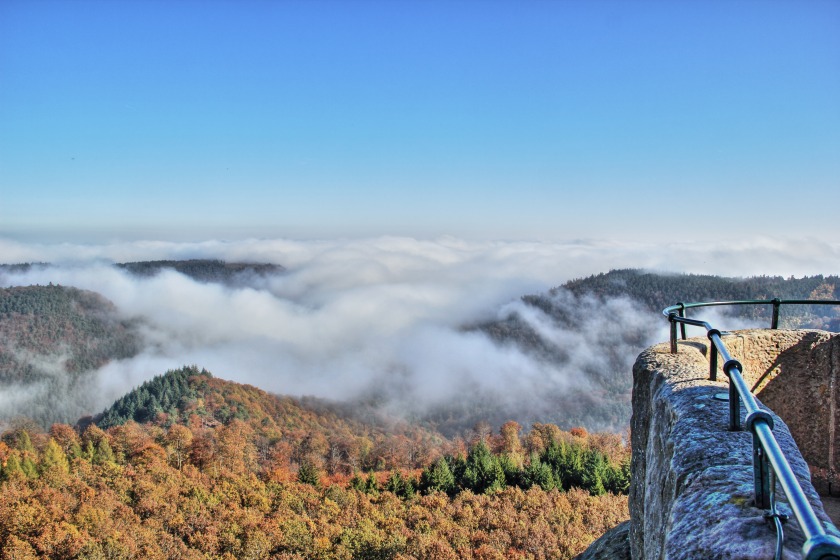 Nebel im Osten