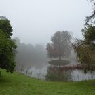 Nebel im Park 1