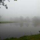 Nebel im Park 2