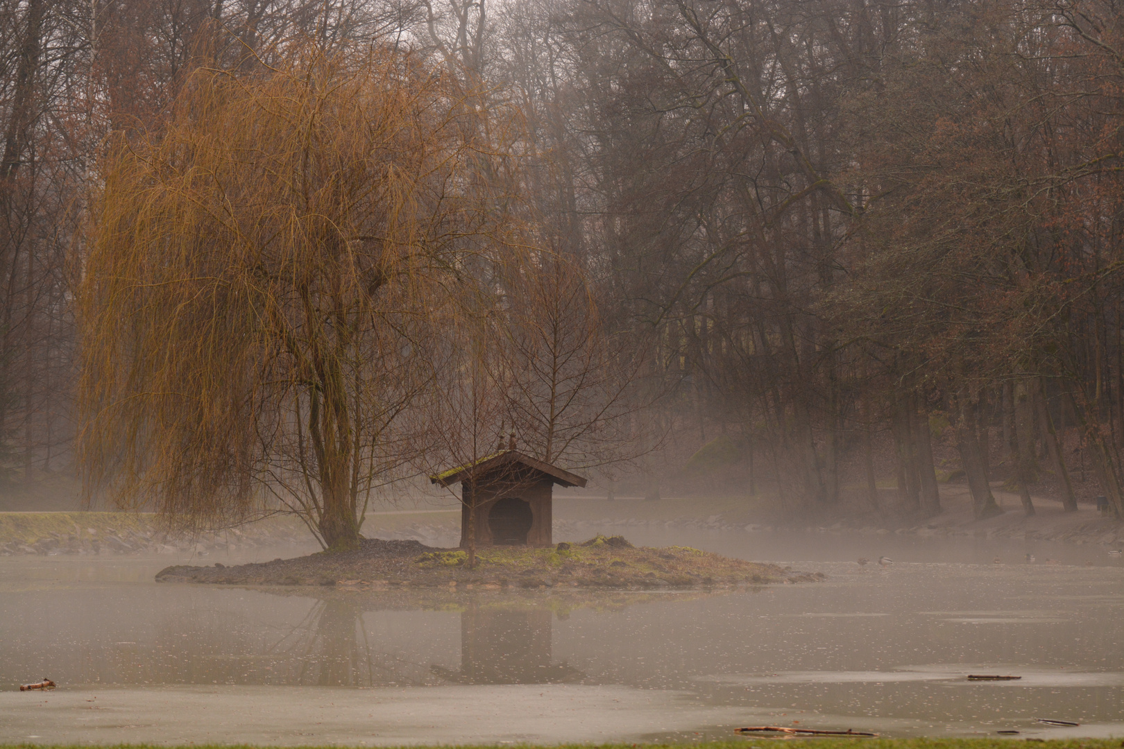 Nebel im Park