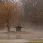 Nebel im Park