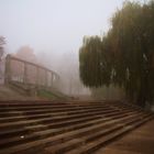 Nebel im Park