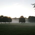 Nebel im Park