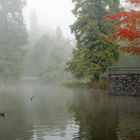 Nebel im Park