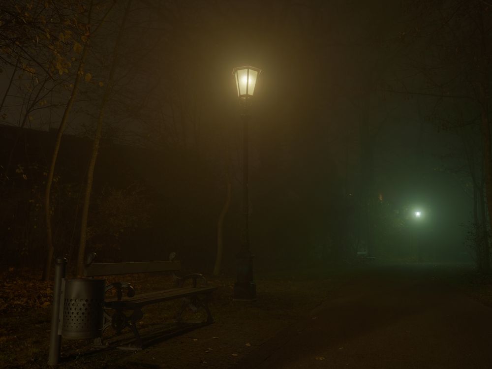 Nebel im Park