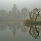 Nebel im Park