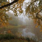 Nebel im Park