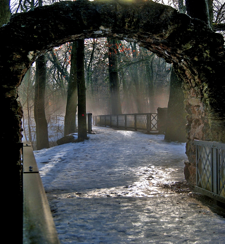 Nebel im Park