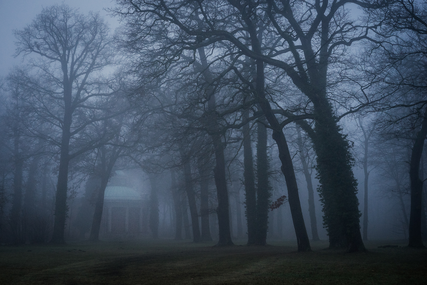 Nebel im Park Sanssouci 