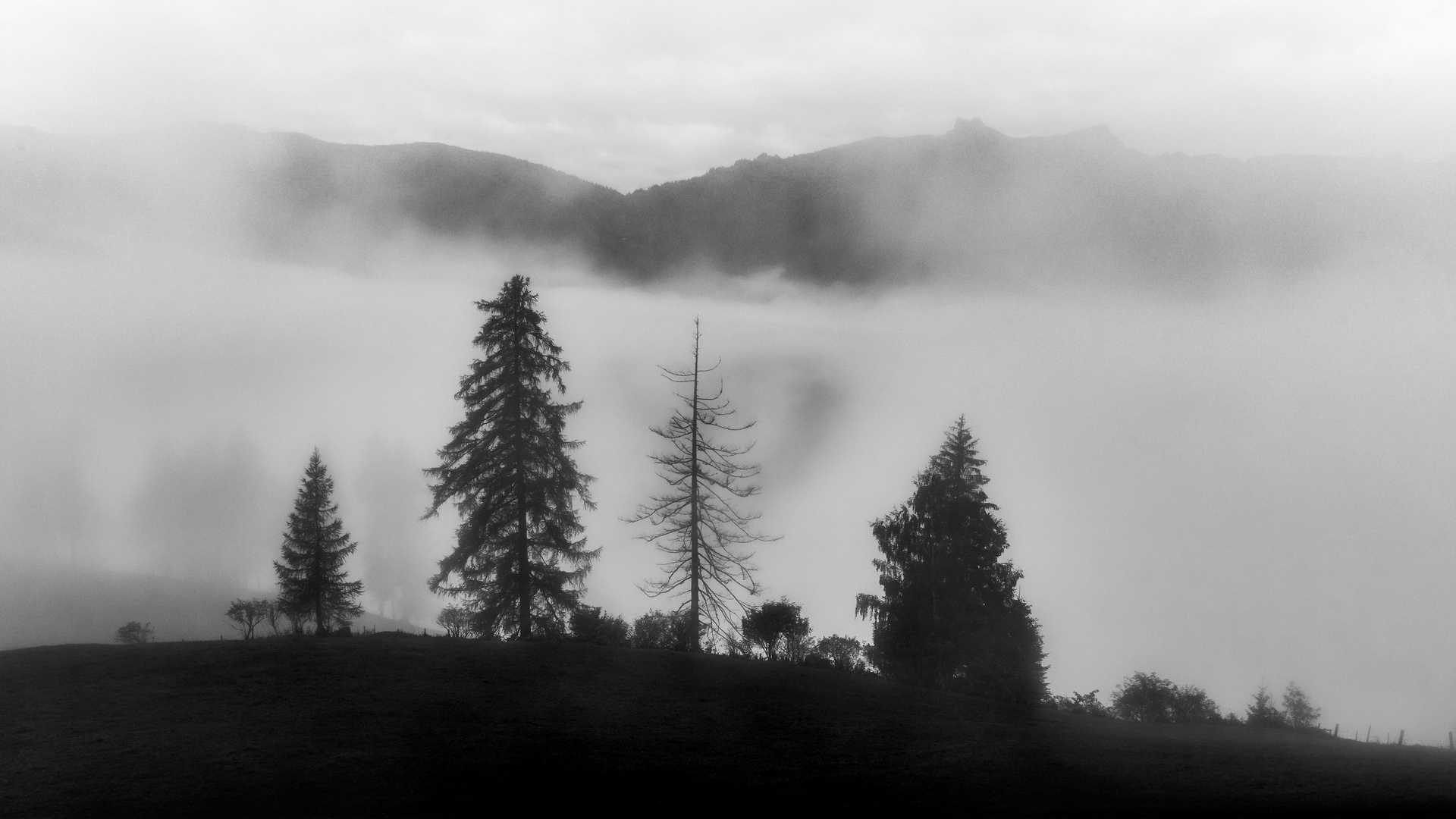 Nebel im Pongau 04