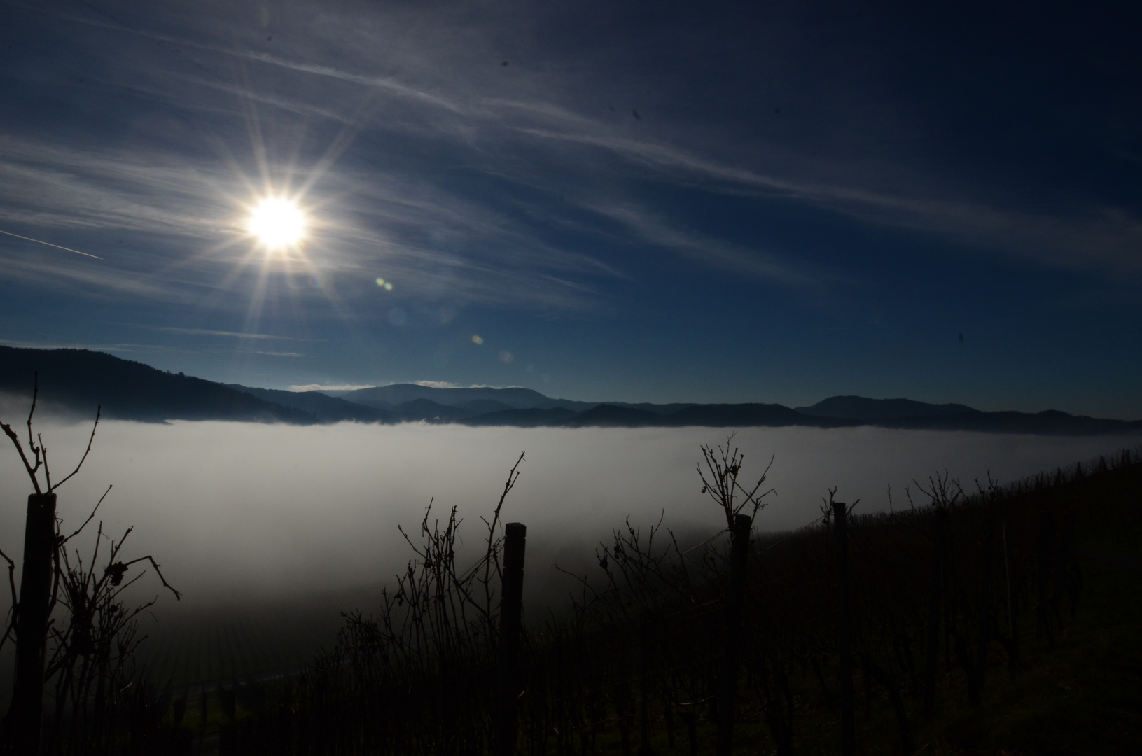 Nebel im Renchtal