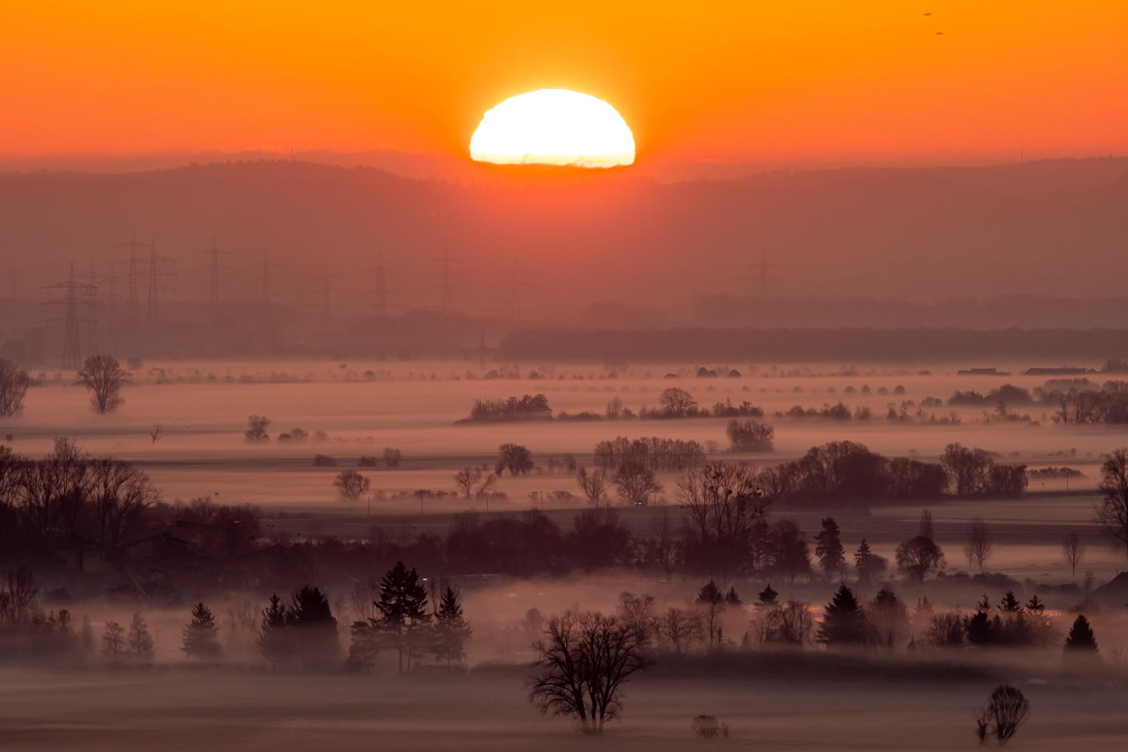 Nebel im Rheintal