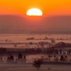 Nebel im Rheintal