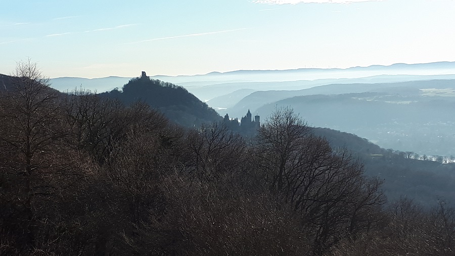 Nebel im Rheintal