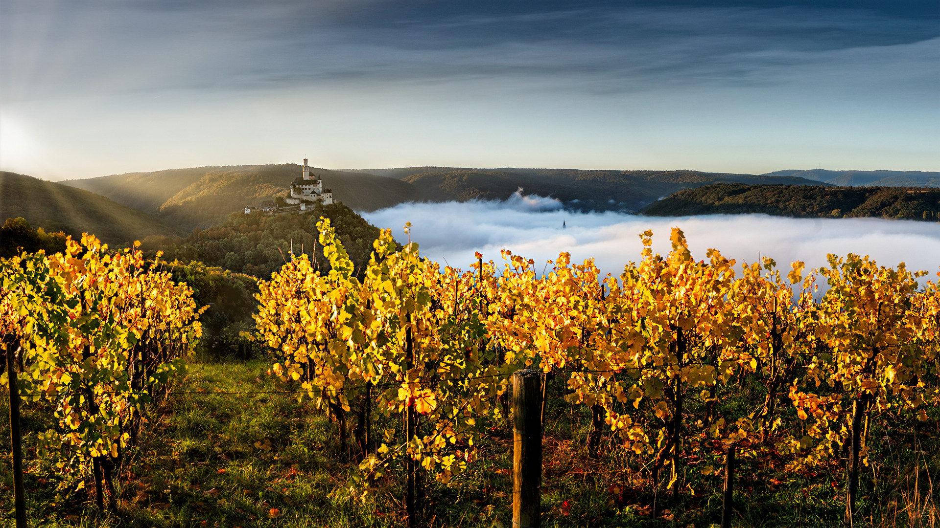 Nebel im Rheintal