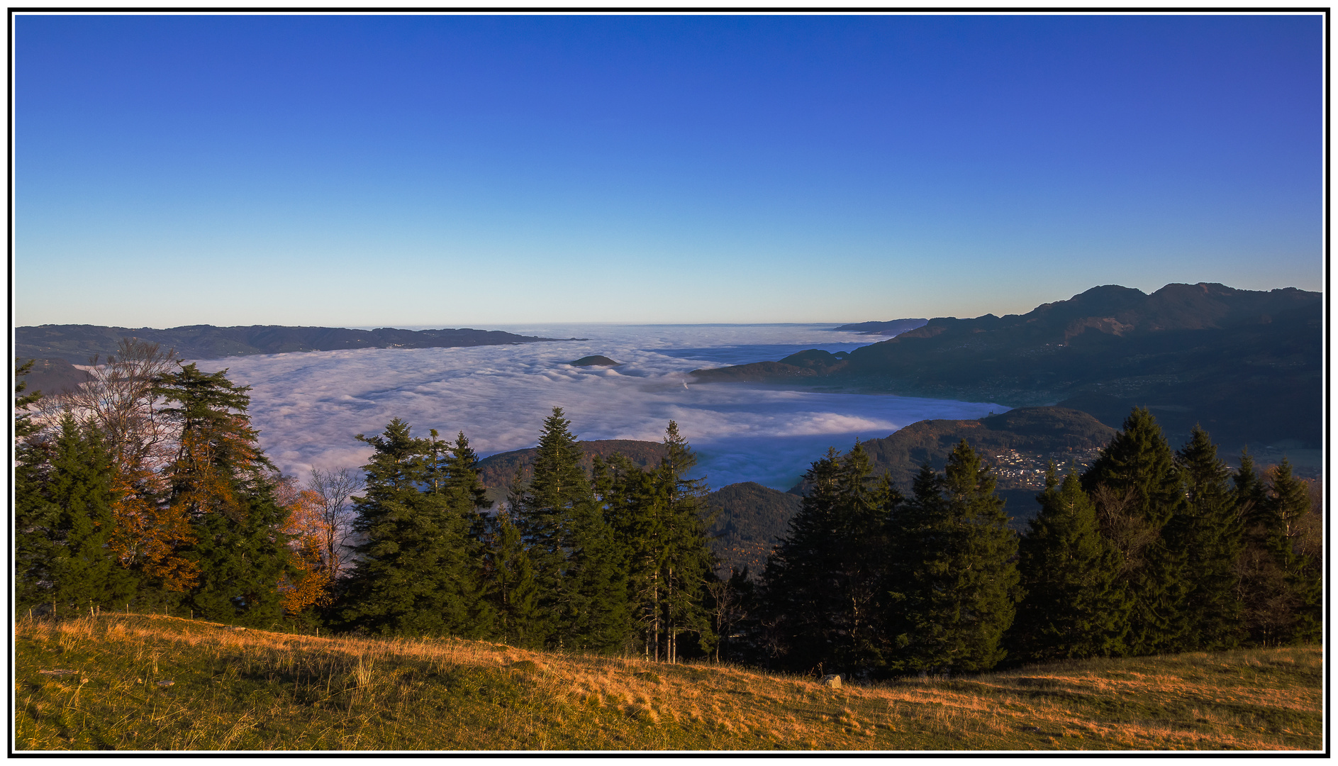 Nebel im Rheintal