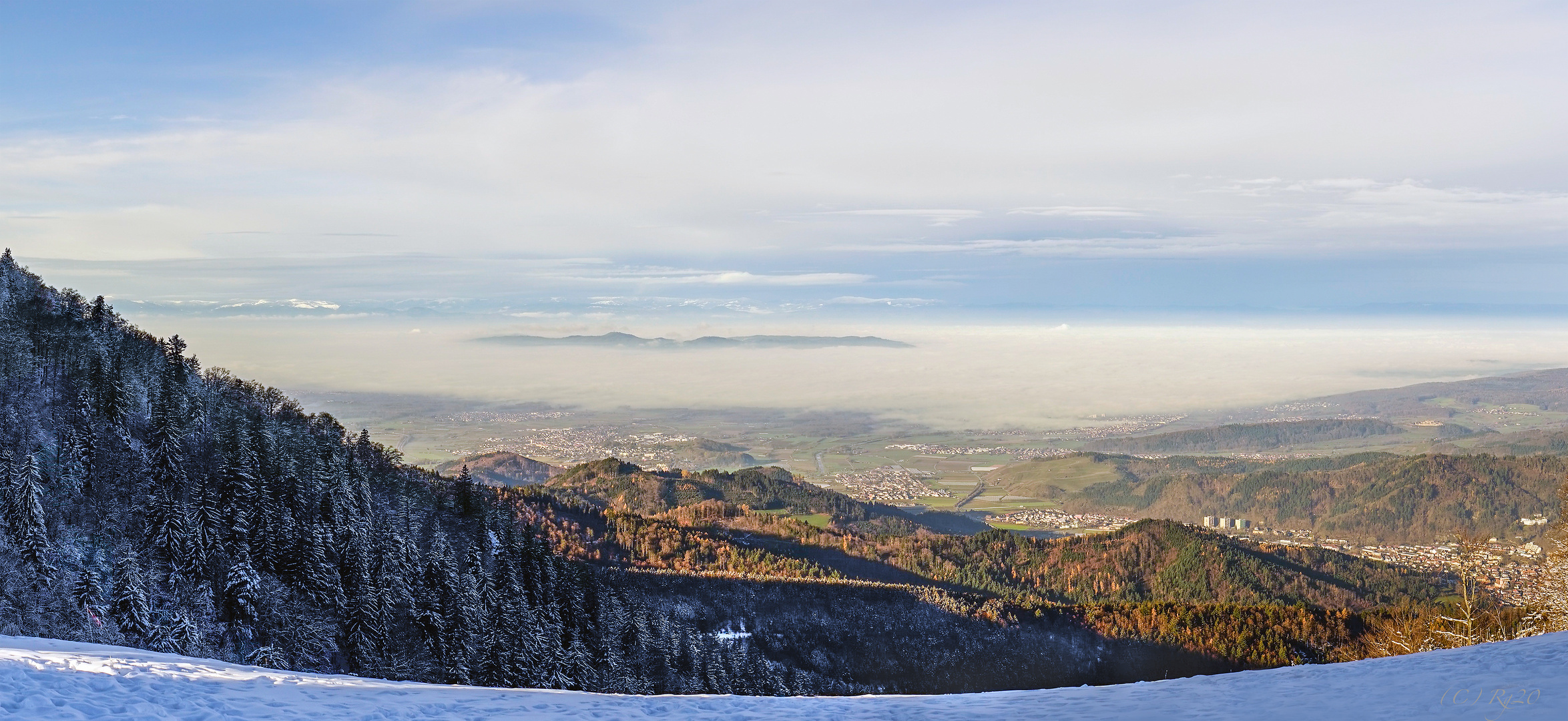 nebel im rheintal