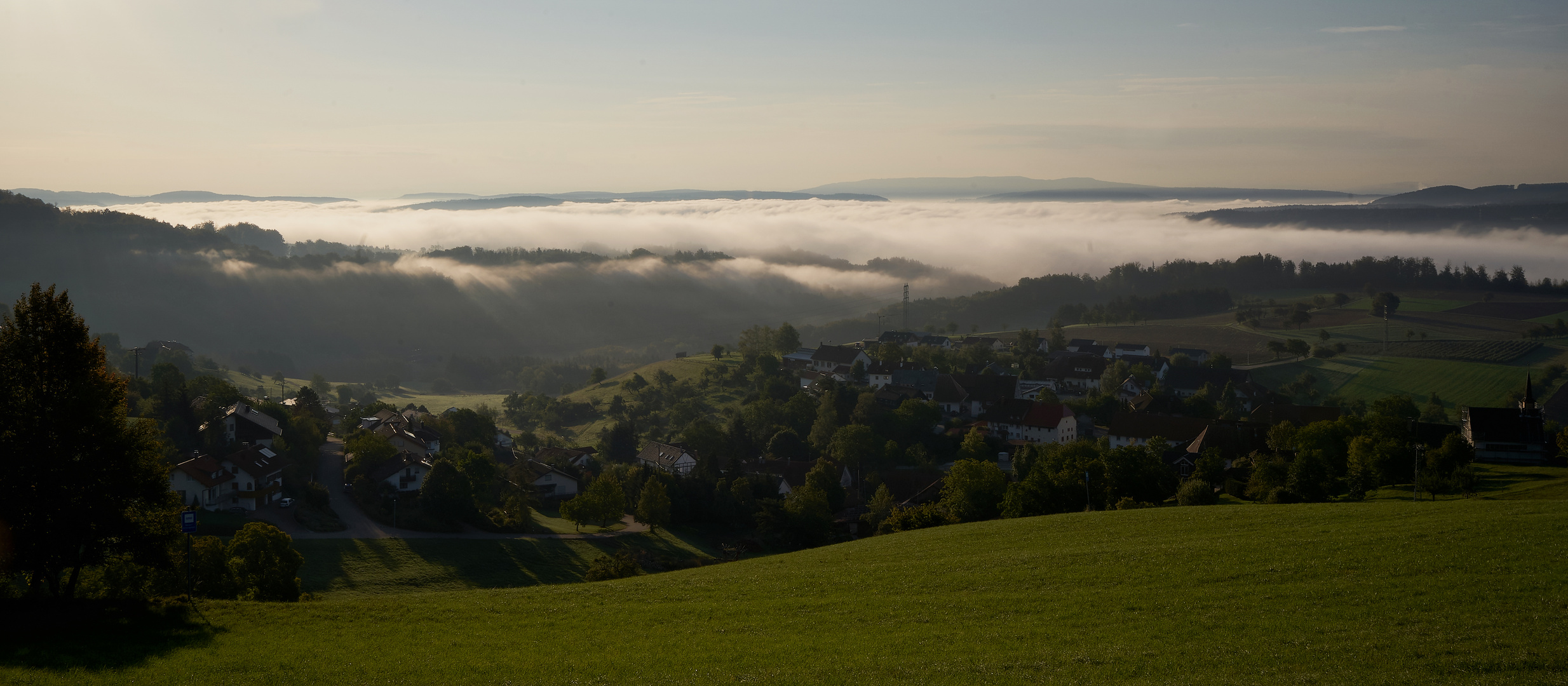 Nebel im Rheintal