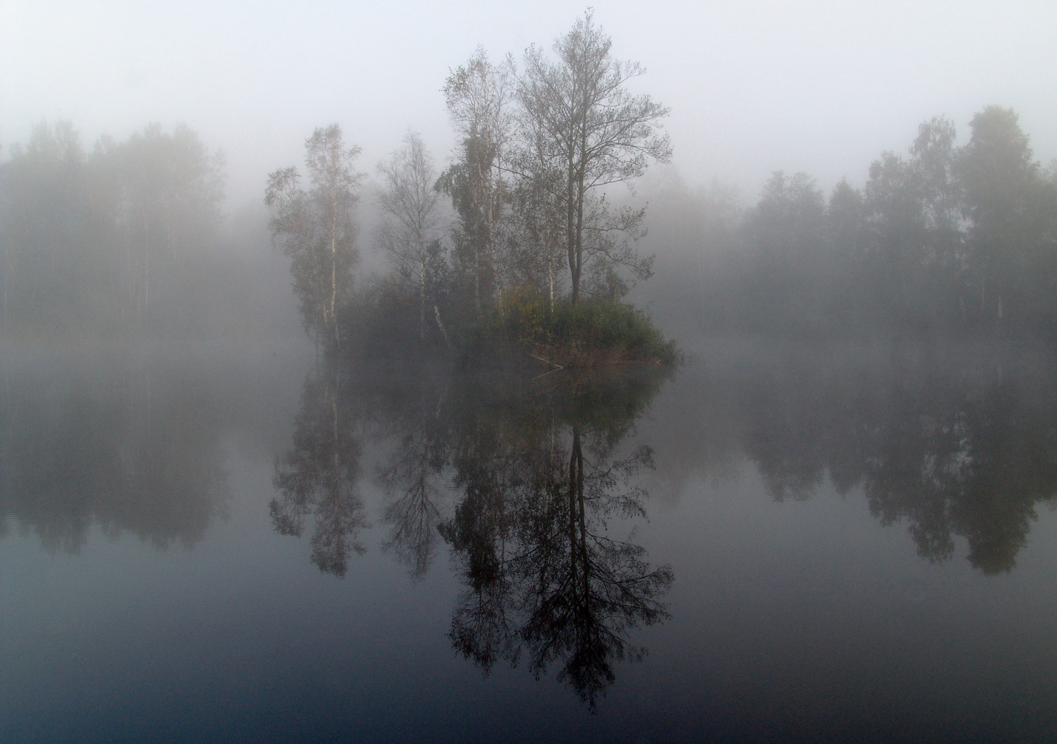 Nebel im Ried