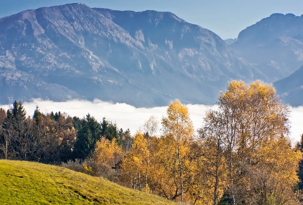 Nebel im Rosental