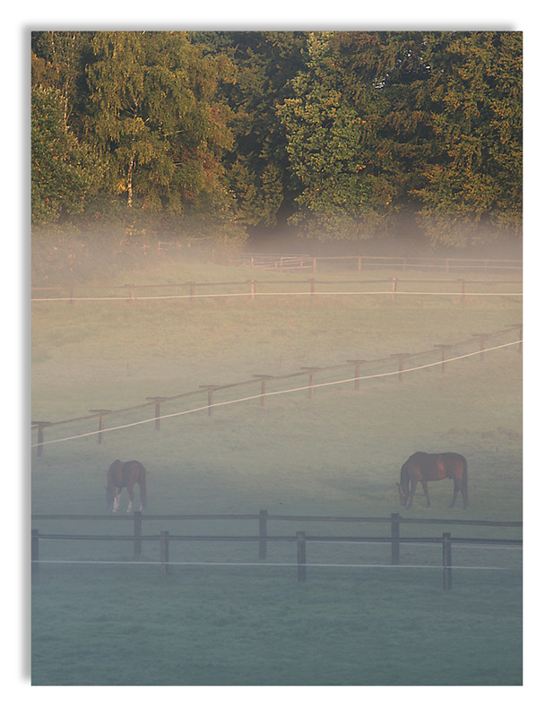 Nebel im Ruhrgebiet