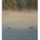 Nebel im Ruhrgebiet