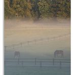 Nebel im Ruhrgebiet