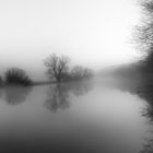 Nebel im Ruhrtal