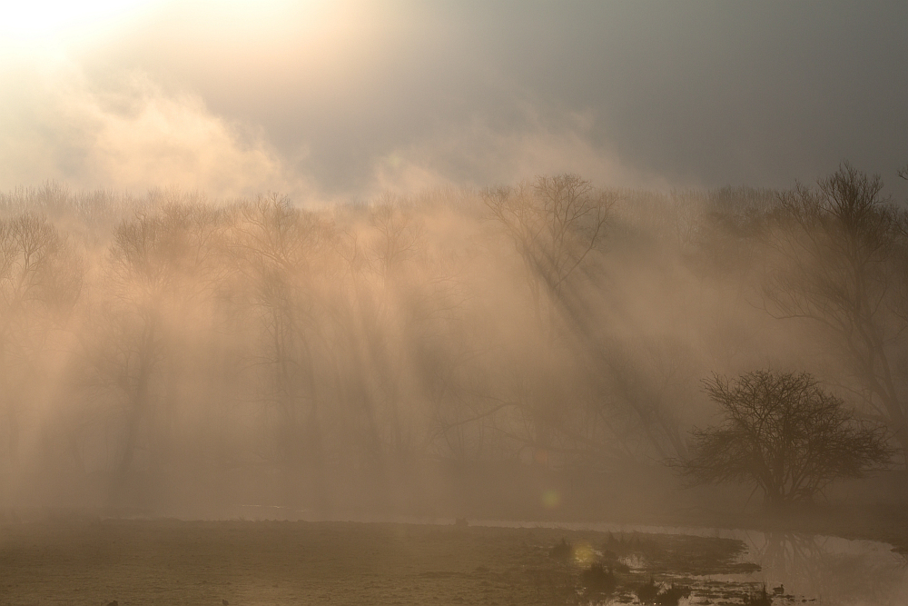 Nebel im Ruhrtal