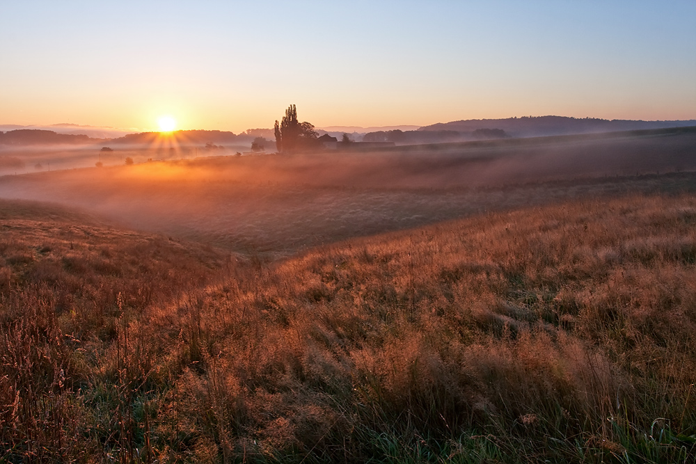 Nebel im Ruhrtal II