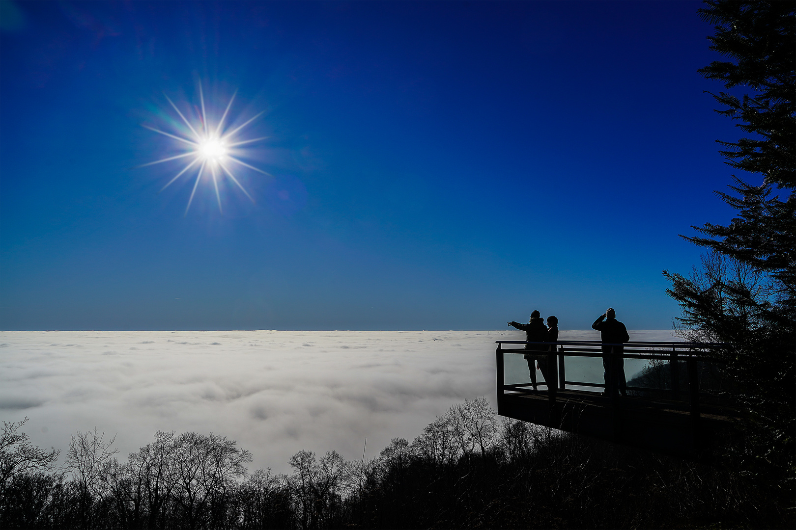 Nebel im Saarland