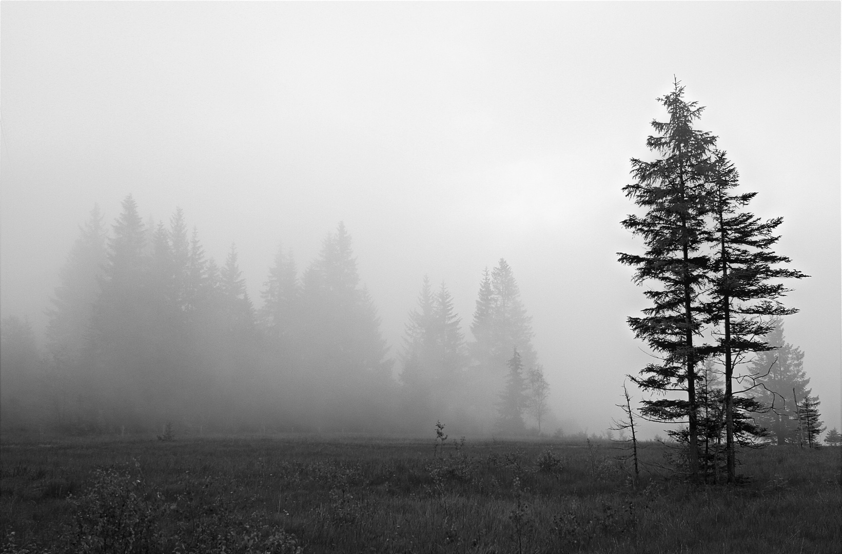 Nebel im Salzburger Land